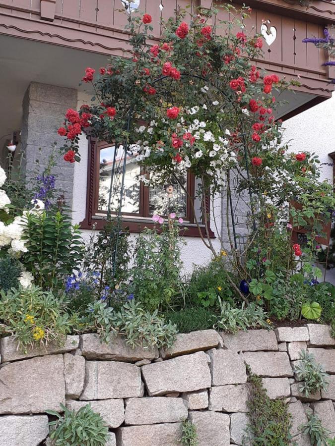 Ferienwohnung Arberblick Lam Esterno foto